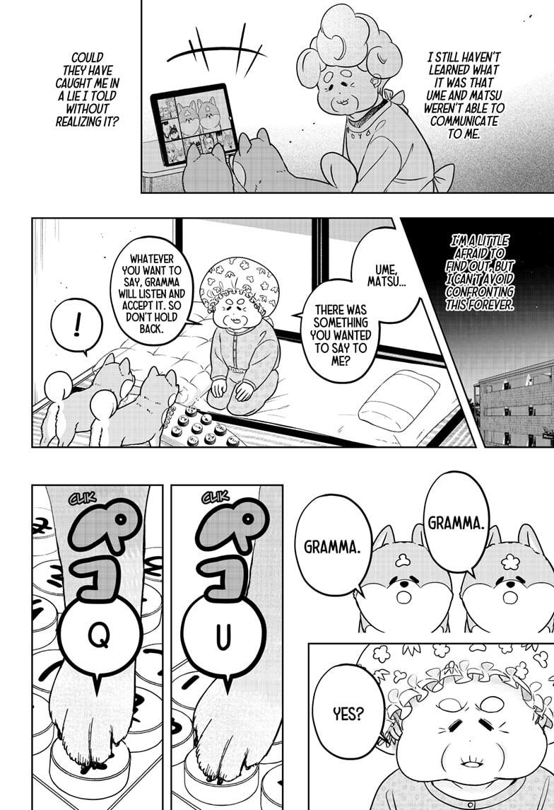 Shiba Inu Rooms - Chapter 35 - 28