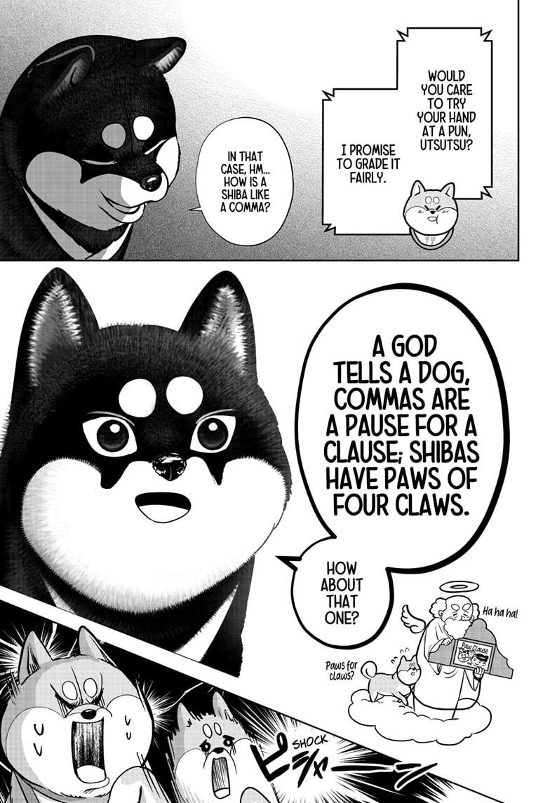 Shiba Inu Rooms - Chapter 36 - 7