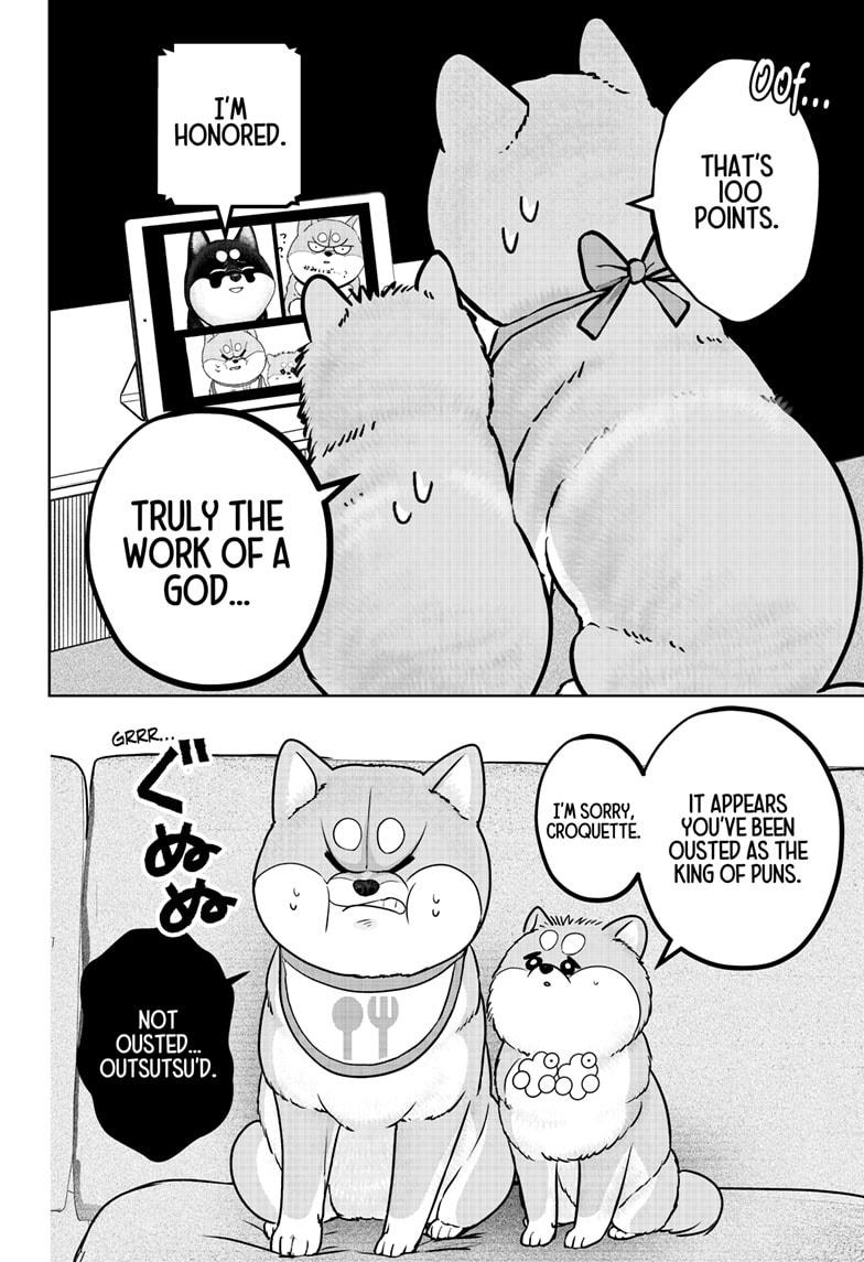 Shiba Inu Rooms - Chapter 36 - 8