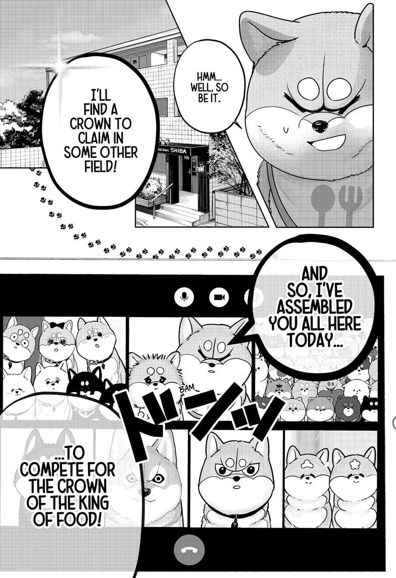 Shiba Inu Rooms - Chapter 36 - 9