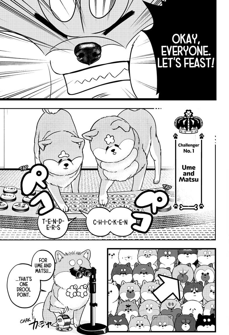 Shiba Inu Rooms - Chapter 36 - 11