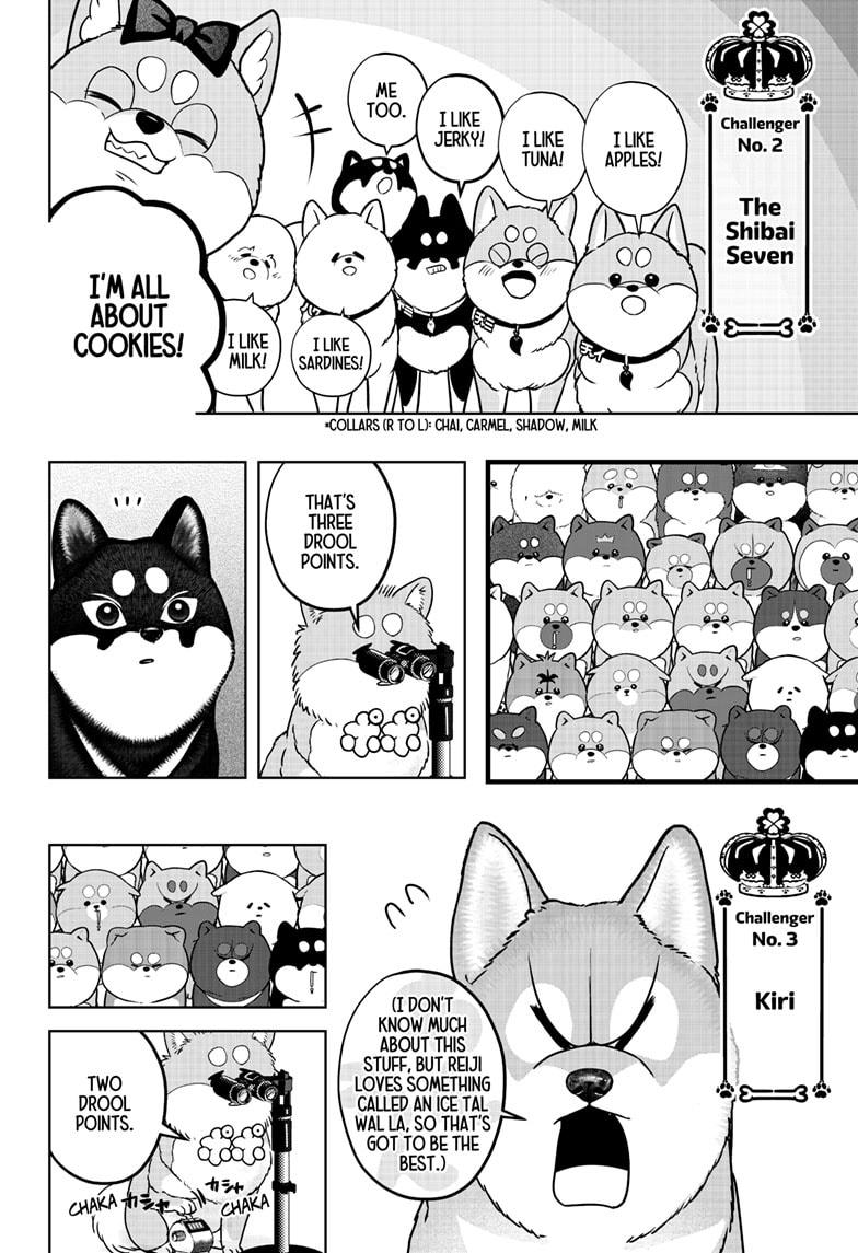 Shiba Inu Rooms - Chapter 36 - 12