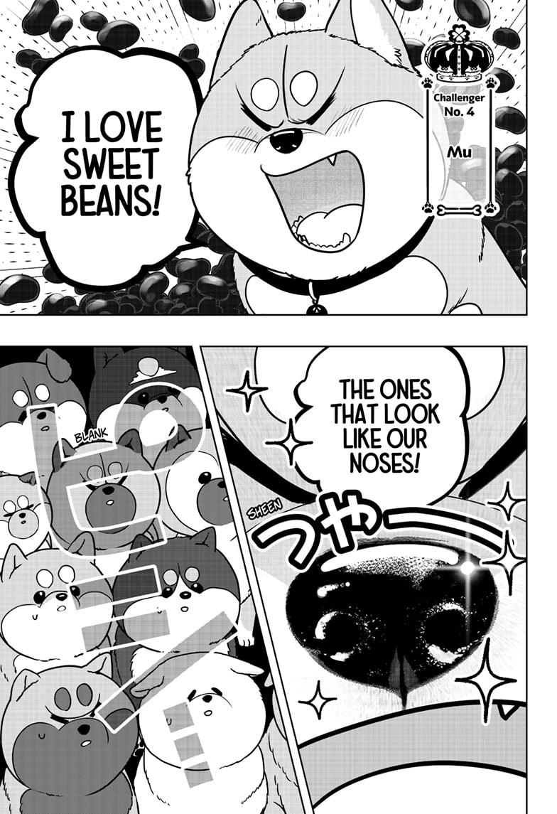 Shiba Inu Rooms - Chapter 36 - 13