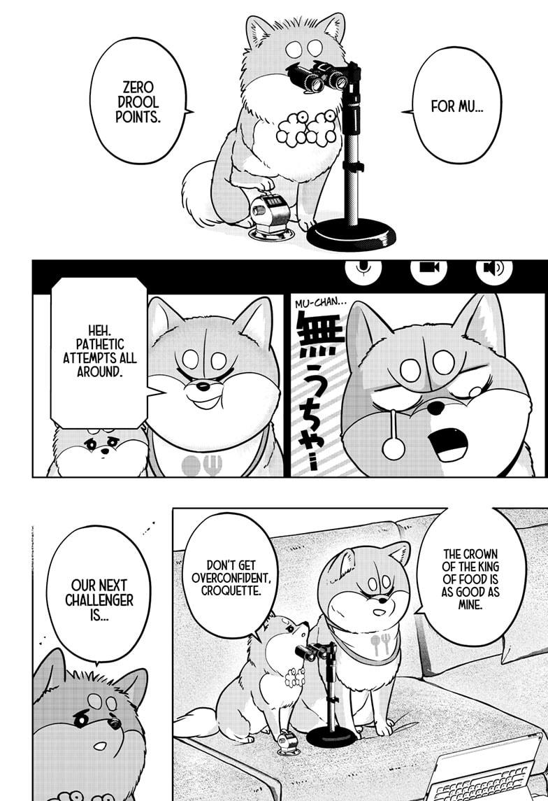 Shiba Inu Rooms - Chapter 36 - 14