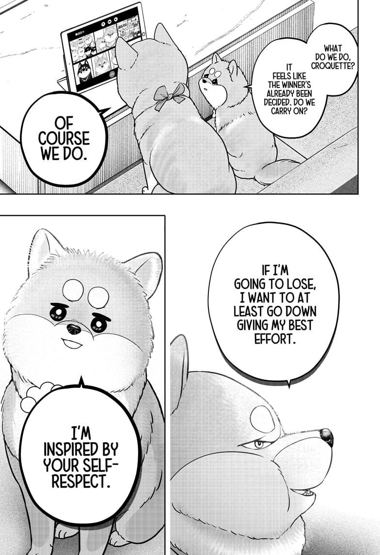 Shiba Inu Rooms - Chapter 36 - 19