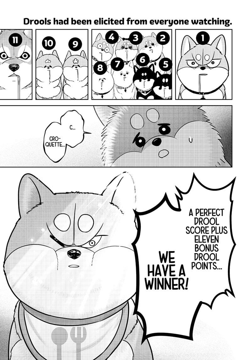 Shiba Inu Rooms - Chapter 36 - 23