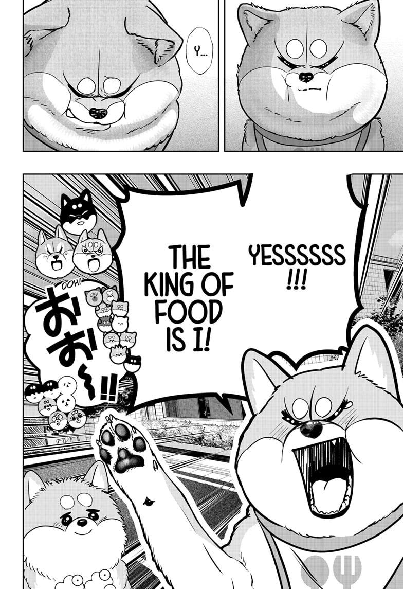 Shiba Inu Rooms - Chapter 36 - 24