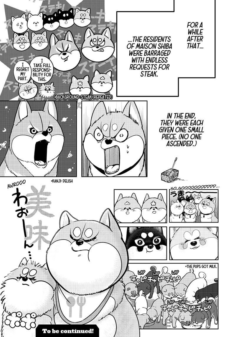 Shiba Inu Rooms - Chapter 36 - 25