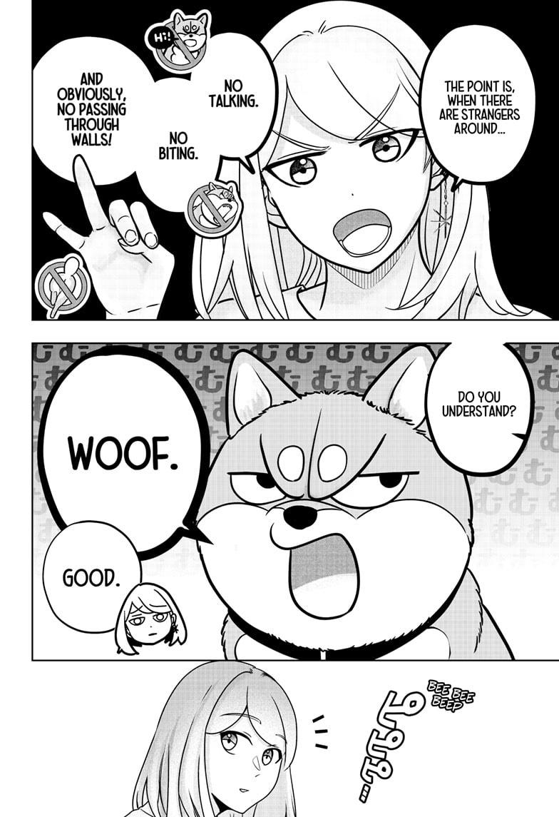 Shiba Inu Rooms - Chapter 37 - 4
