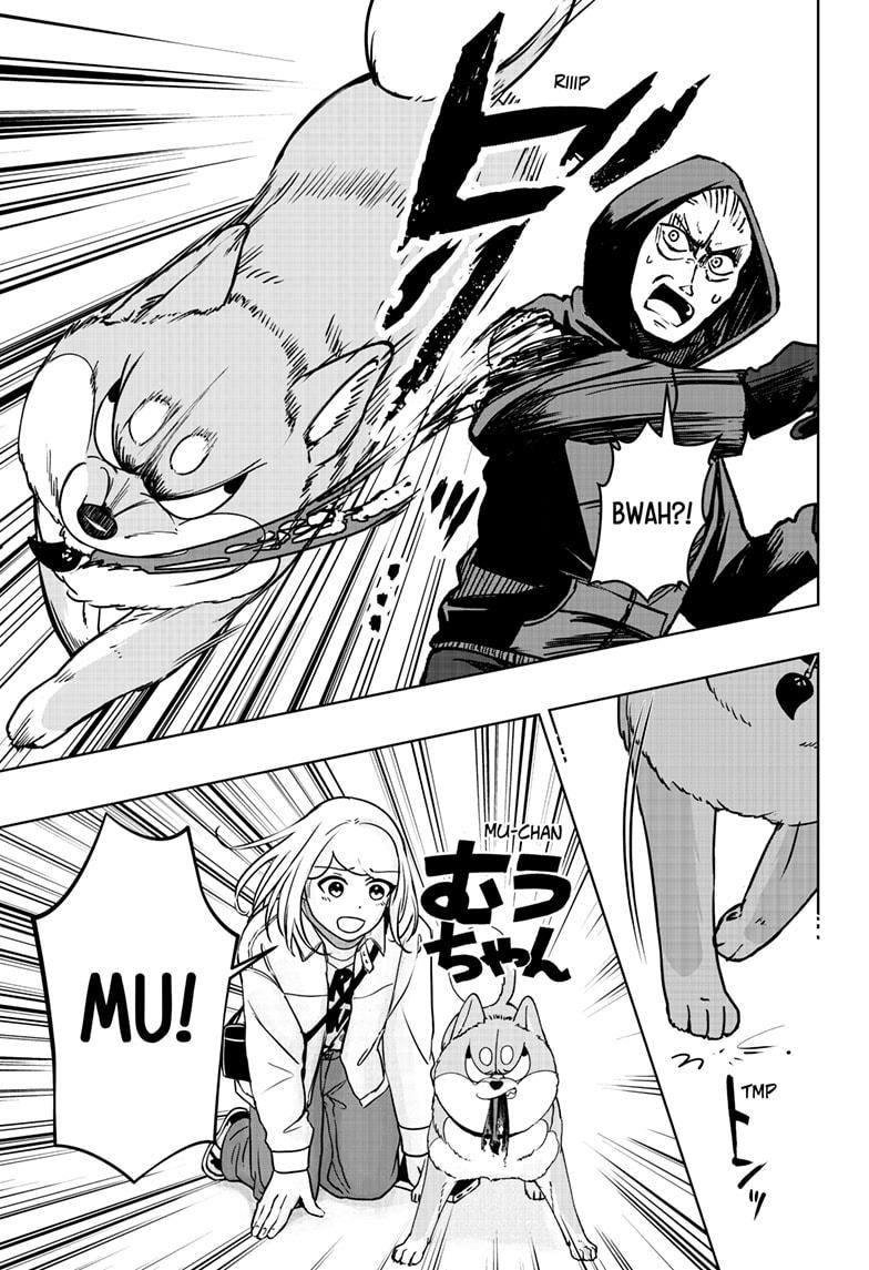 Shiba Inu Rooms - Chapter 37 - 21