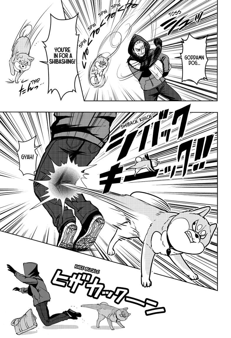 Shiba Inu Rooms - Chapter 37 - 25