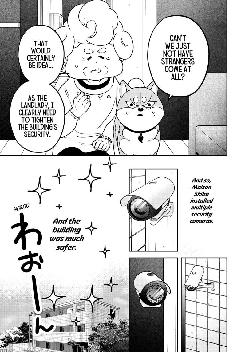 Shiba Inu Rooms - Chapter 37 - 33