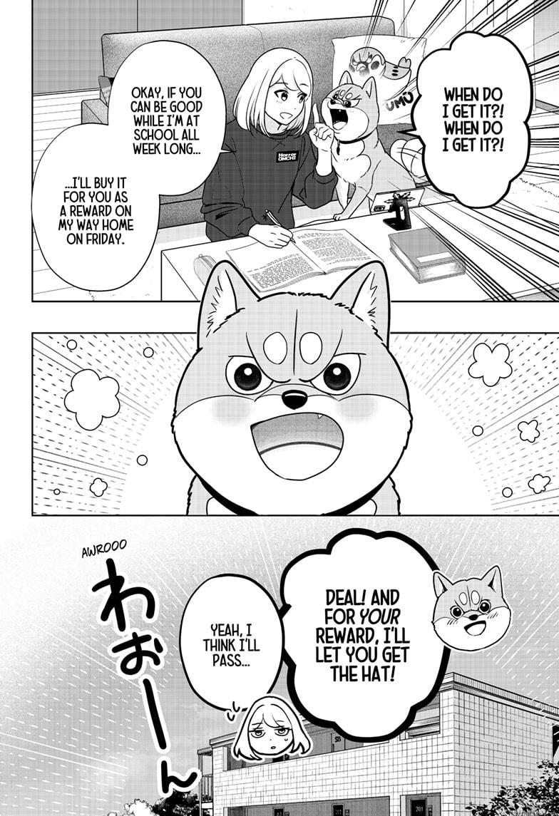 Shiba Inu Rooms - Chapter 38 - 4