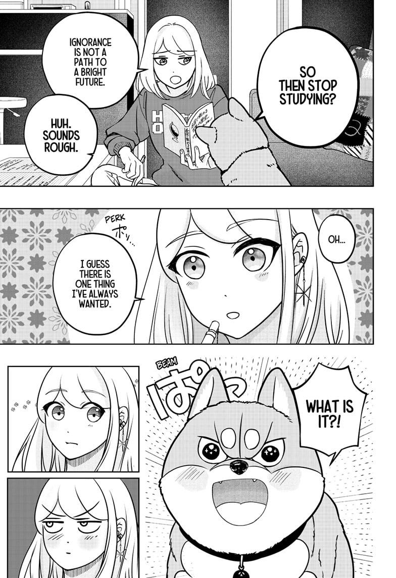 Shiba Inu Rooms - Chapter 38 - 9