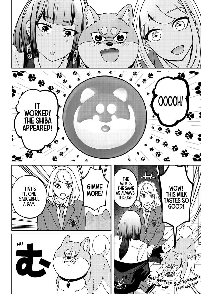 Shiba Inu Rooms - Chapter 38 - 12