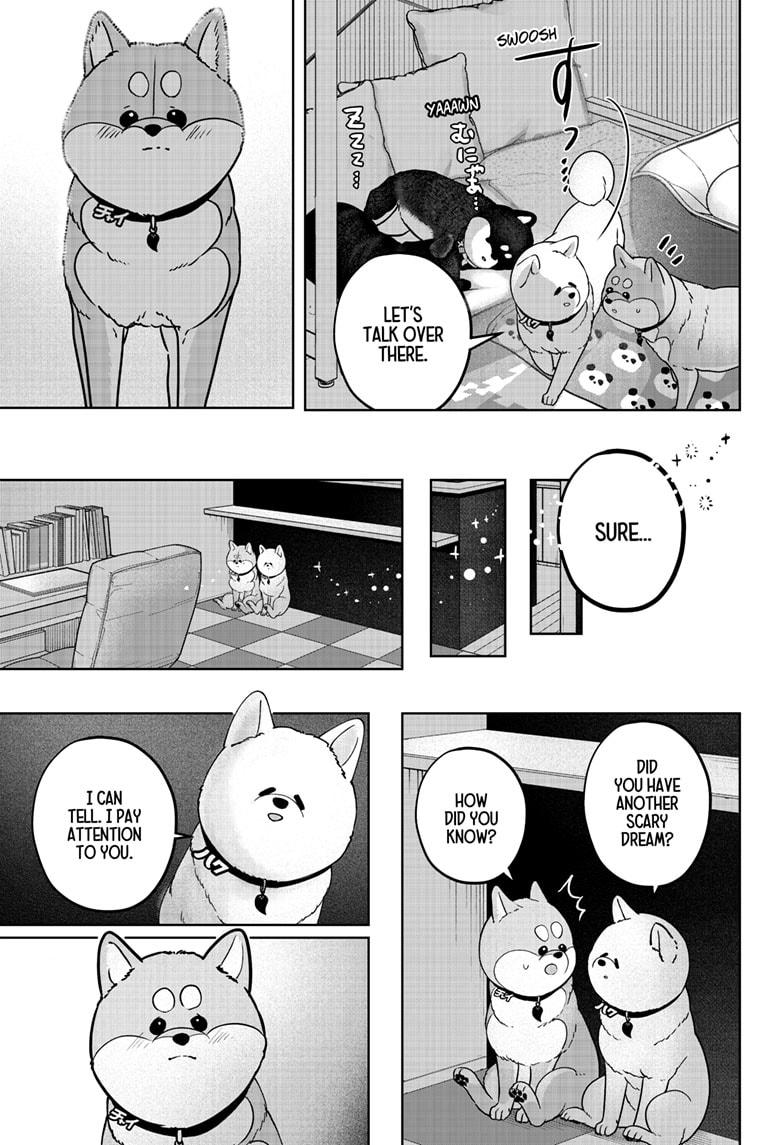 Shiba Inu Rooms Chapter 39 - Page 5