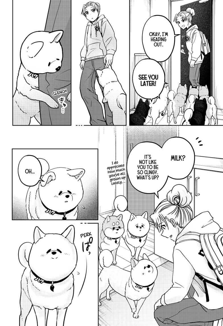 Shiba Inu Rooms Chapter 39 - Page 8