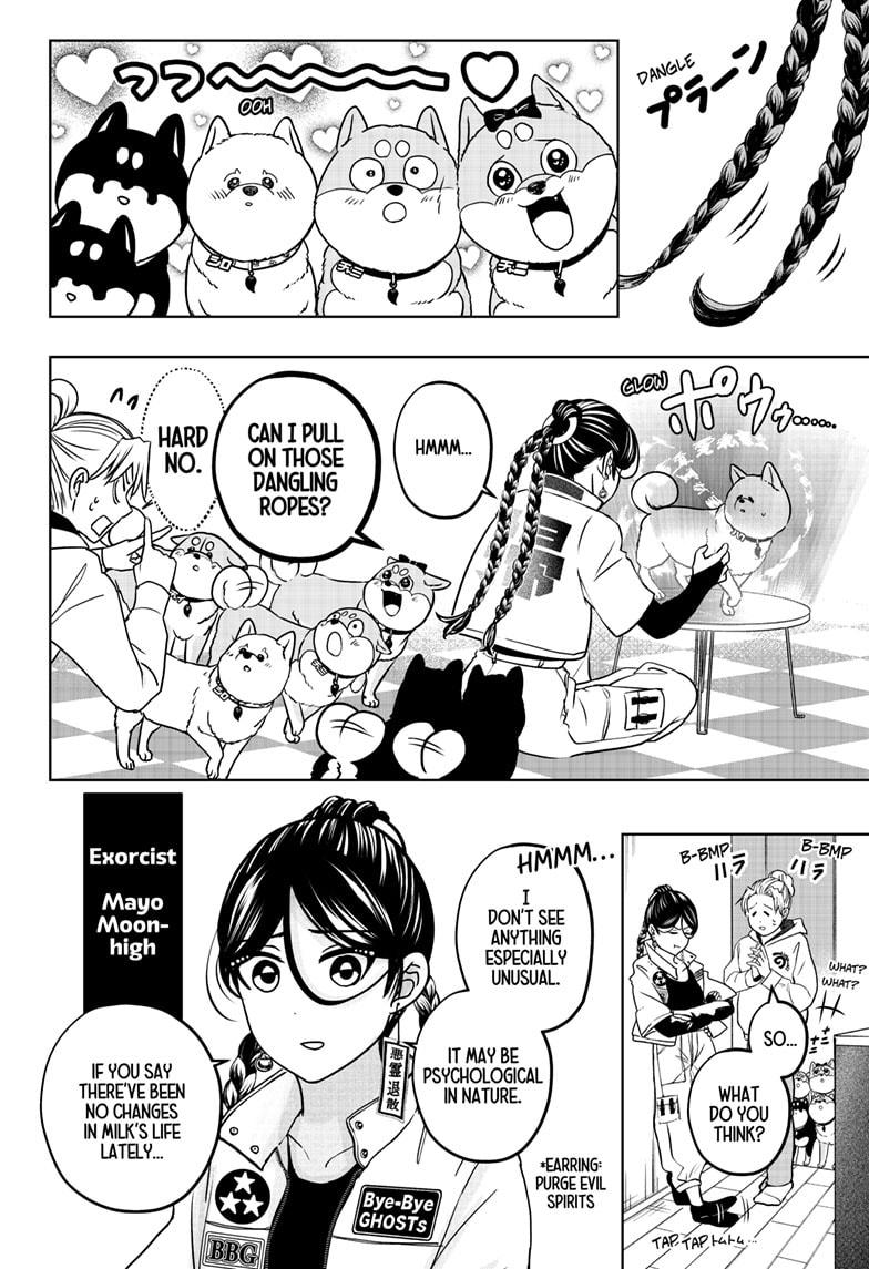 Shiba Inu Rooms Chapter 39 - Page 12