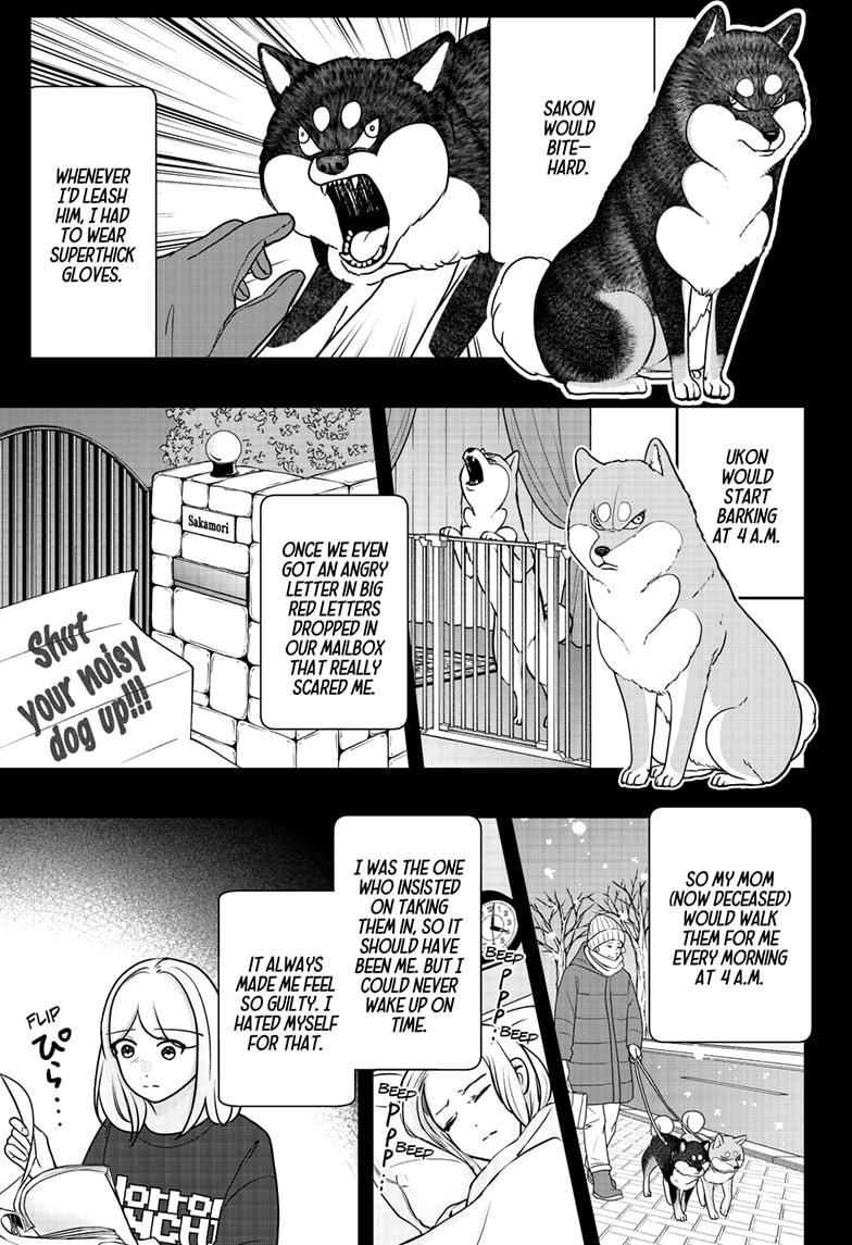 Shiba Inu Rooms Chapter 41 - Page 15