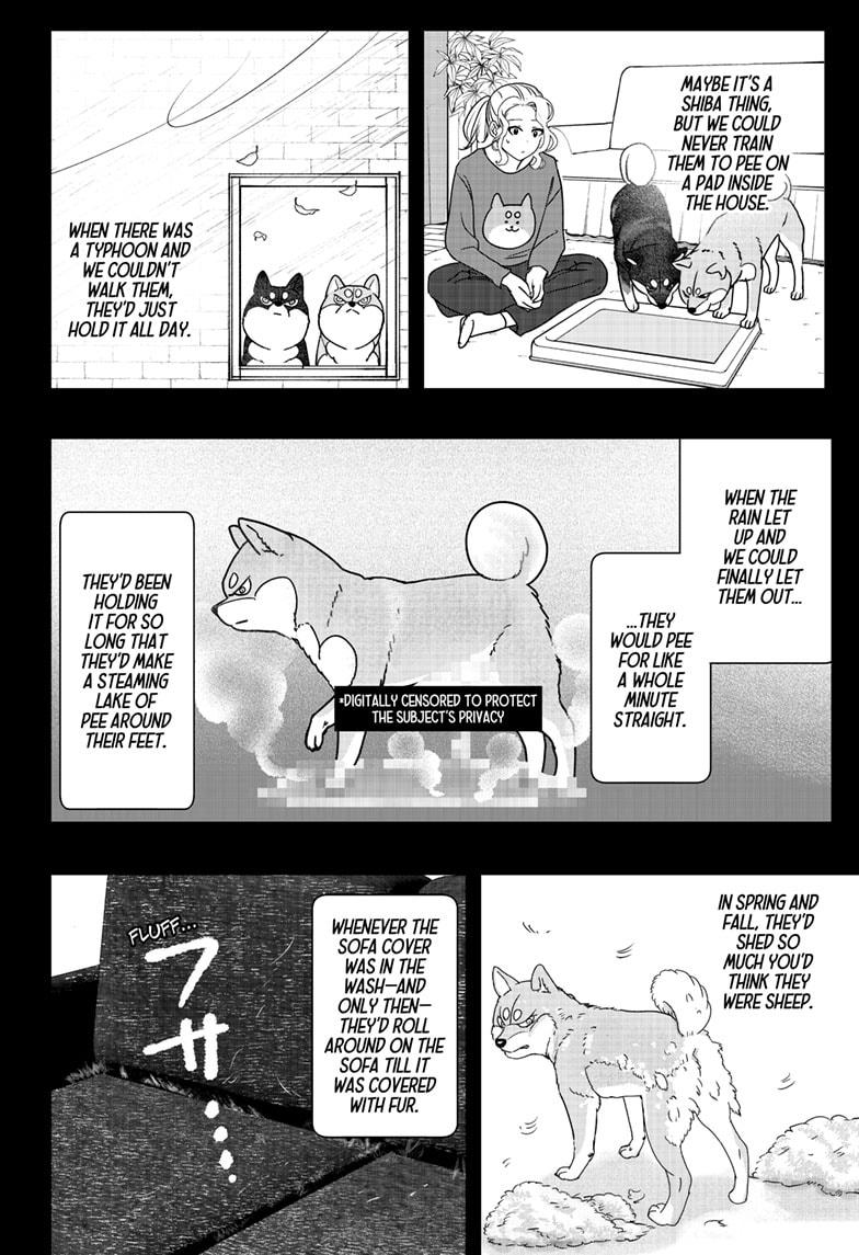 Shiba Inu Rooms Chapter 41 - Page 16