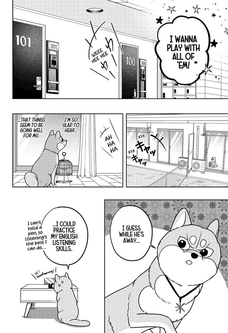 Shiba Inu Rooms Chapter 43 - Page 16