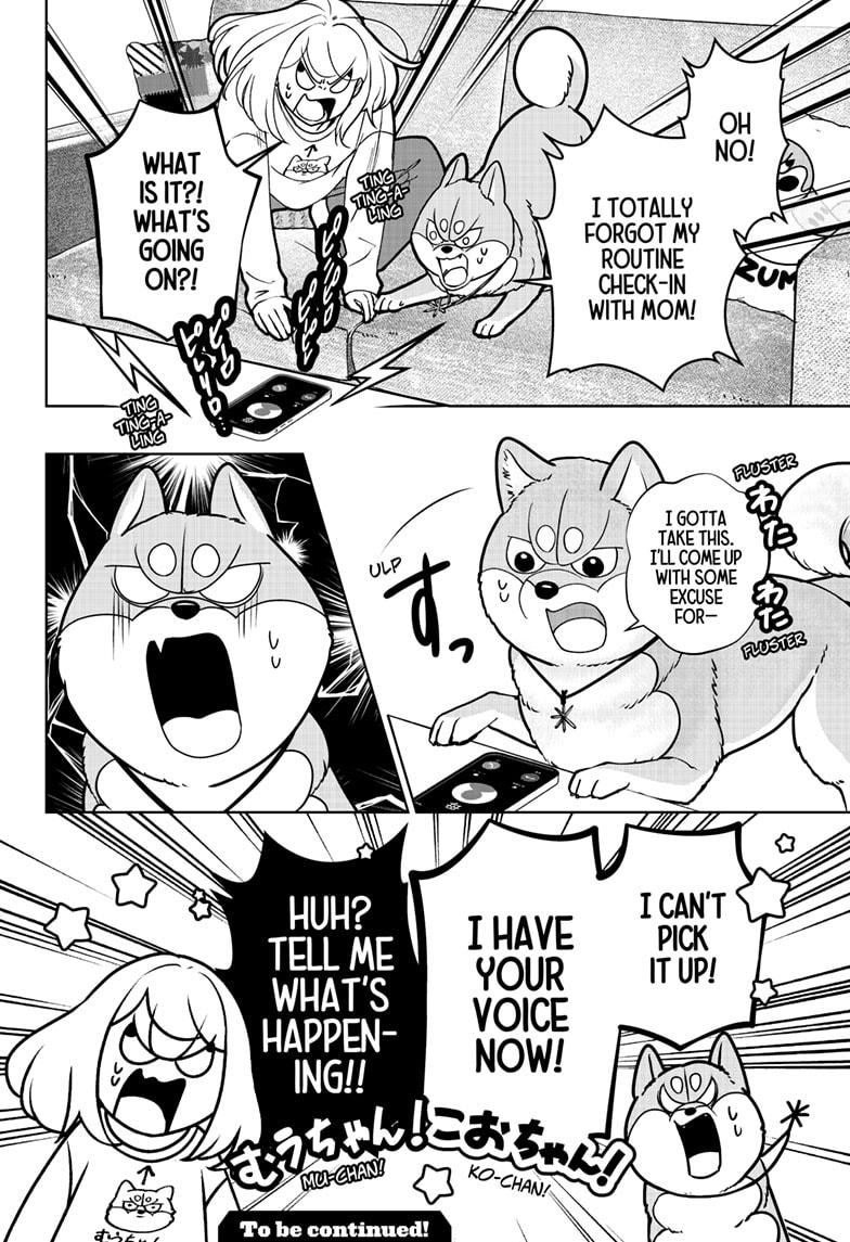 Shiba Inu Rooms Chapter 43 - Page 32