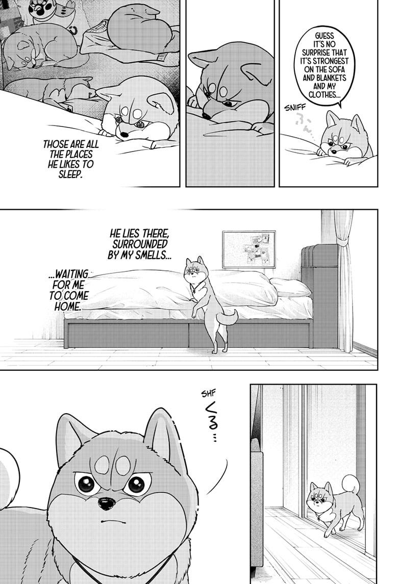 Shiba Inu Rooms Chapter 44 - Page 25