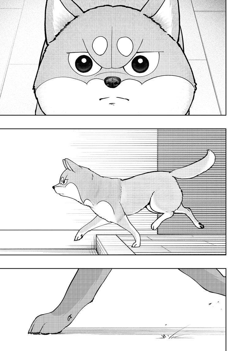 Shiba Inu Rooms Chapter 44 - Page 33