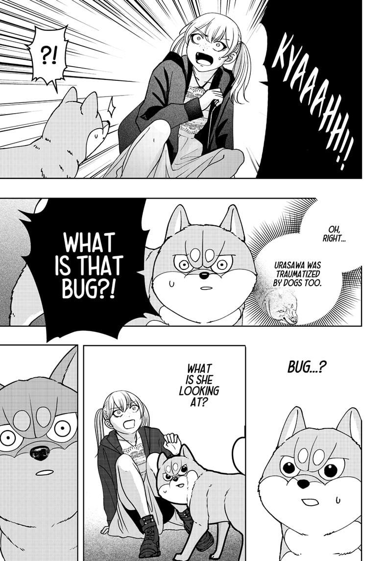 Shiba Inu Rooms Chapter 45 - Page 20
