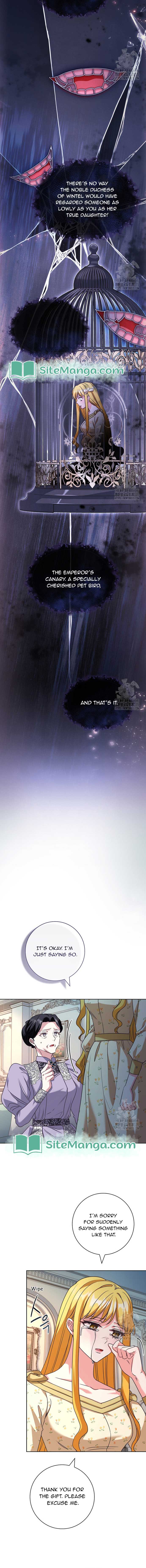 Since My Time is Limited, I’m Entering A Contract Marriage Chapter 37 - Page 5