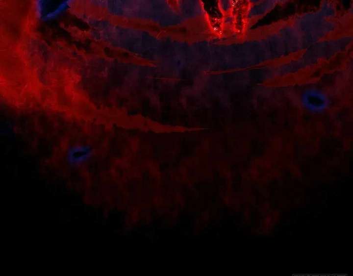 Sinister Immortal Path Chapter 65 - Page 26