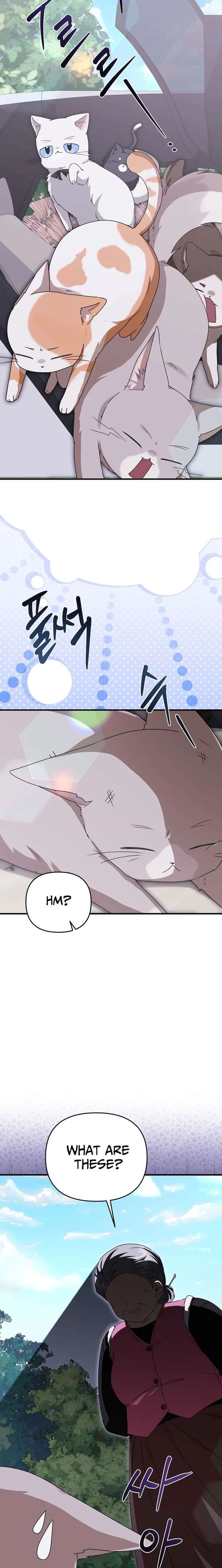 Starting Today, I’m the Butler of Five Men Chapter 31 - Page 9