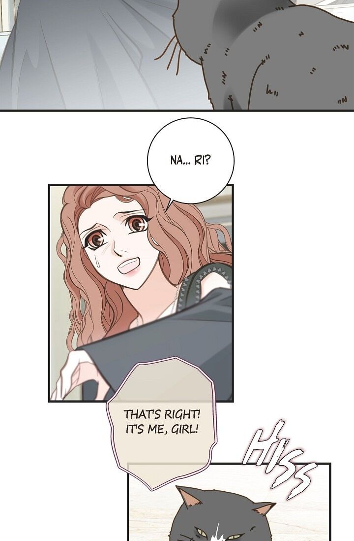 Survival Marriage Chapter 30 - Page 65