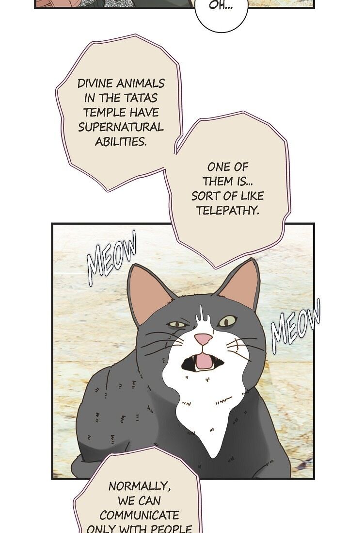 Survival Marriage Chapter 30 - Page 67