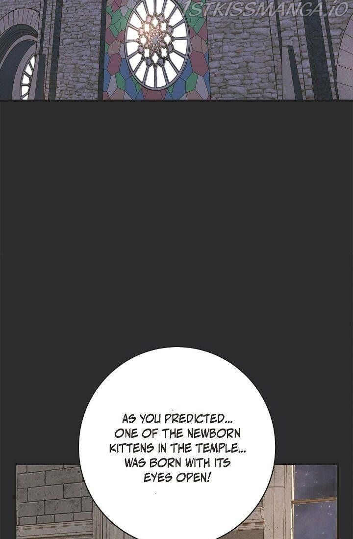 Survival Marriage Chapter 72 - Page 40