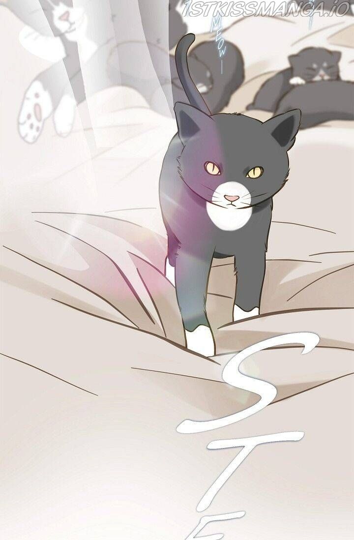 Survival Marriage Chapter 72 - Page 46