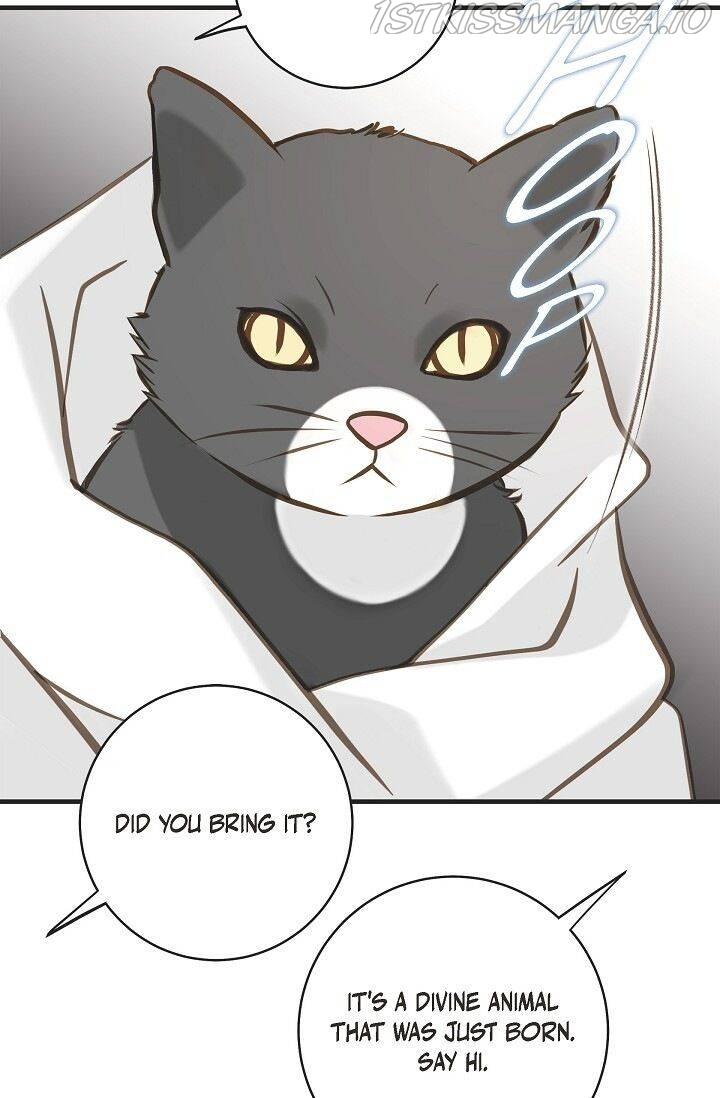 Survival Marriage Chapter 73 - Page 52