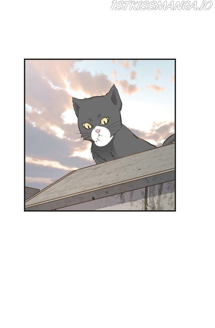 Survival Marriage Chapter 75 - Page 78