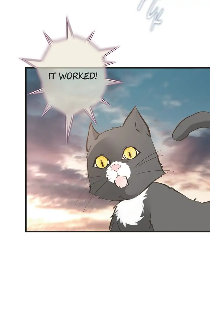 Survival Marriage Chapter 81 - Page 43