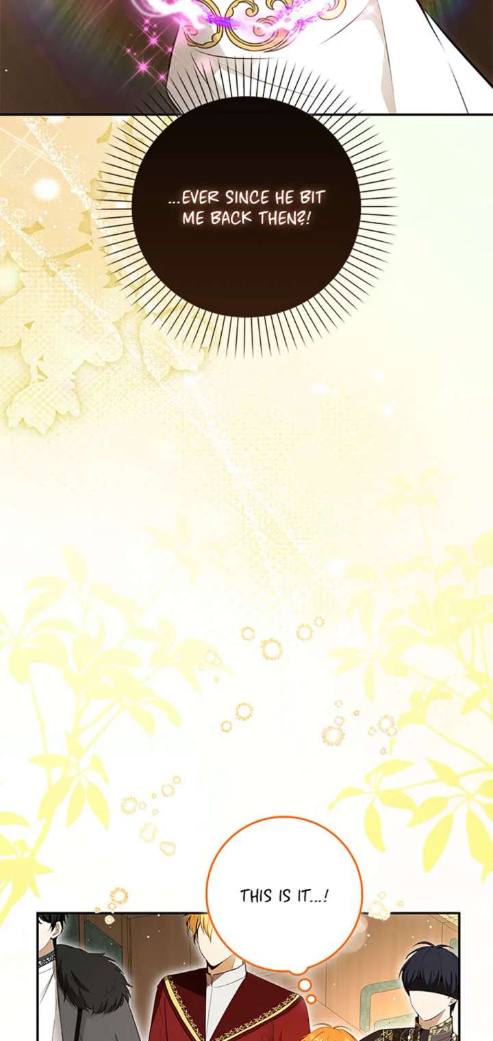 Talented baby squirrel Chapter 117 - Page 34