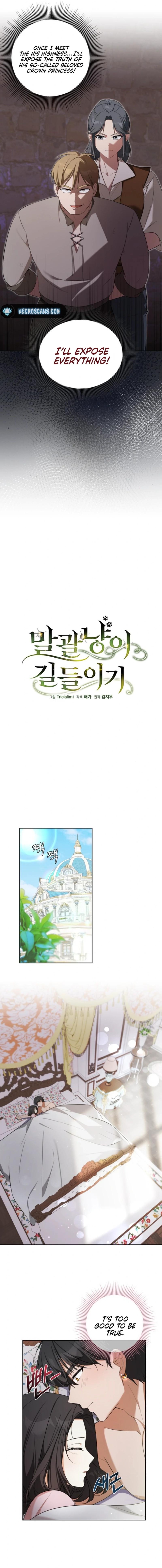 Taming the Shrew Chapter 33 - Page 5