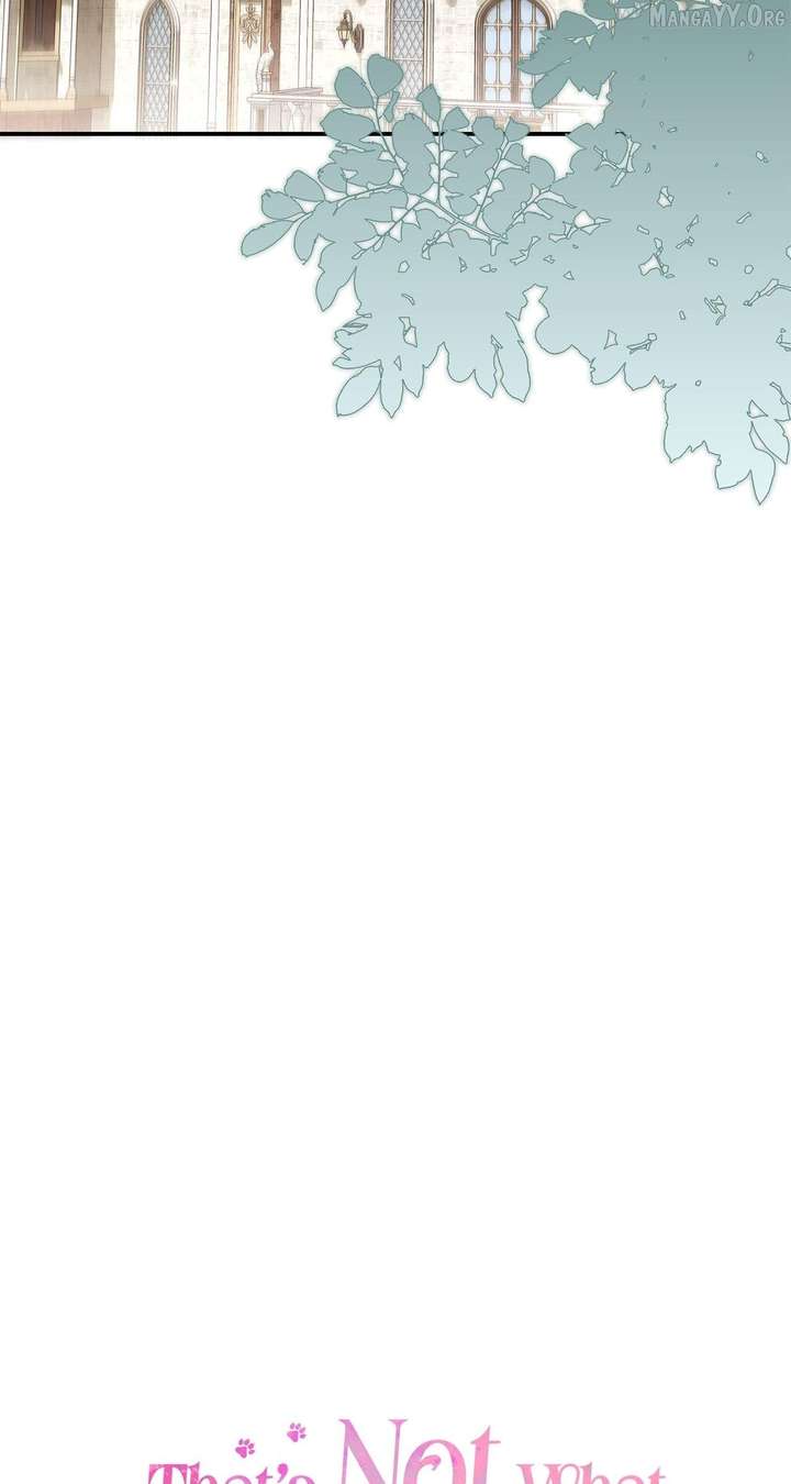 That’s Not What My Will Said - Chapter 35 - 15