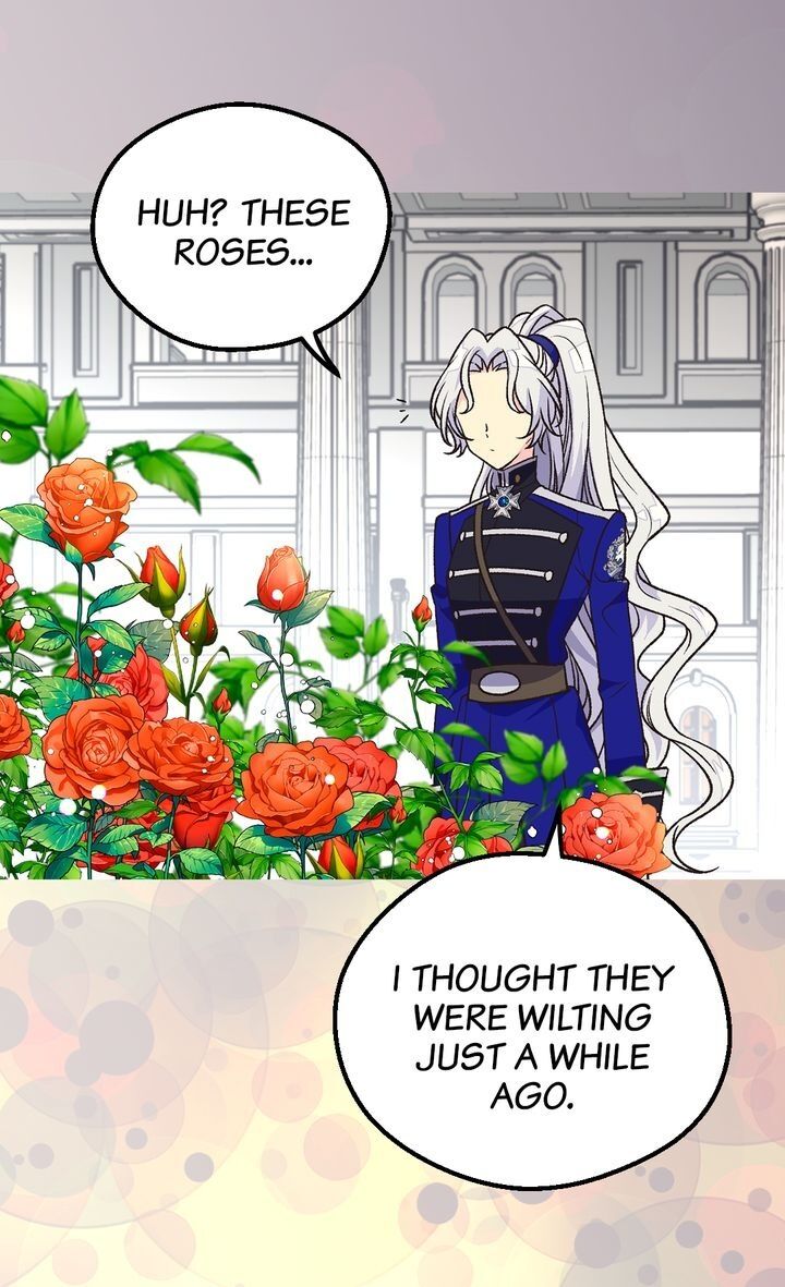 The Abandoned Empress Chapter 136 - Page 30