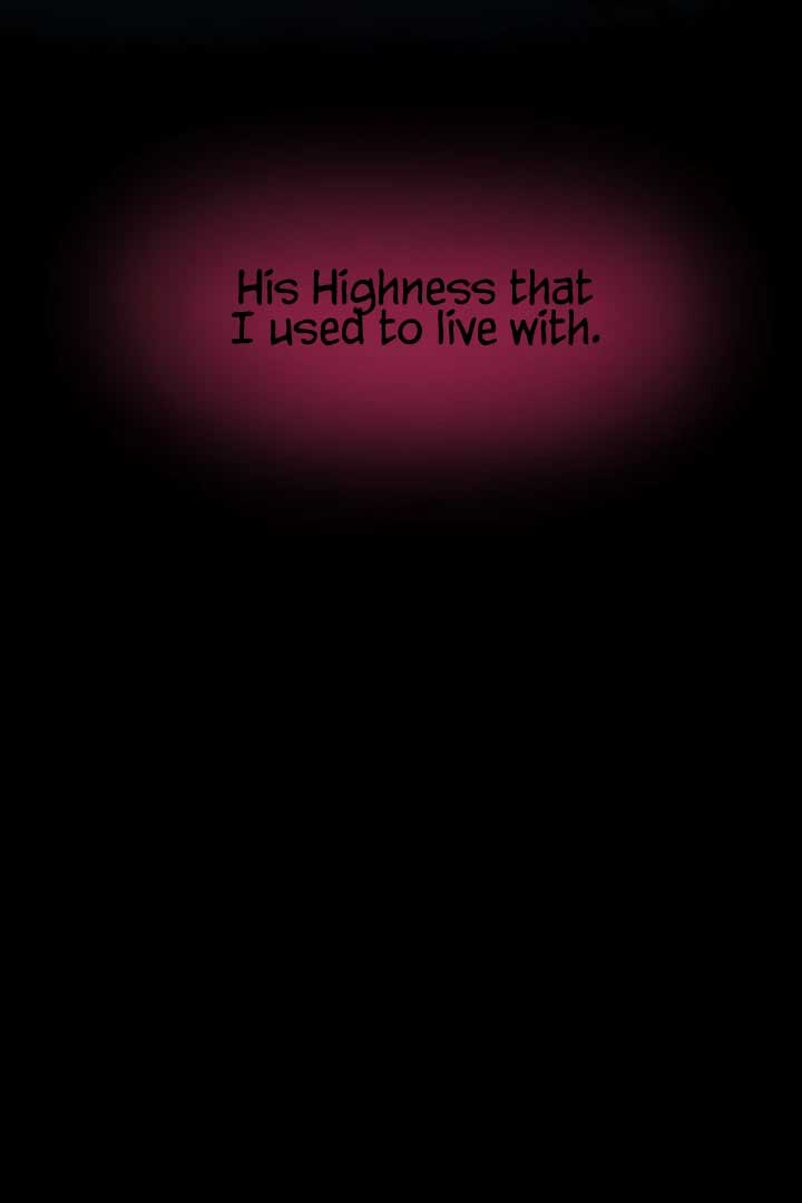 The Baby Dragon and the Rabbit Spirit Chapter 41 - Page 41