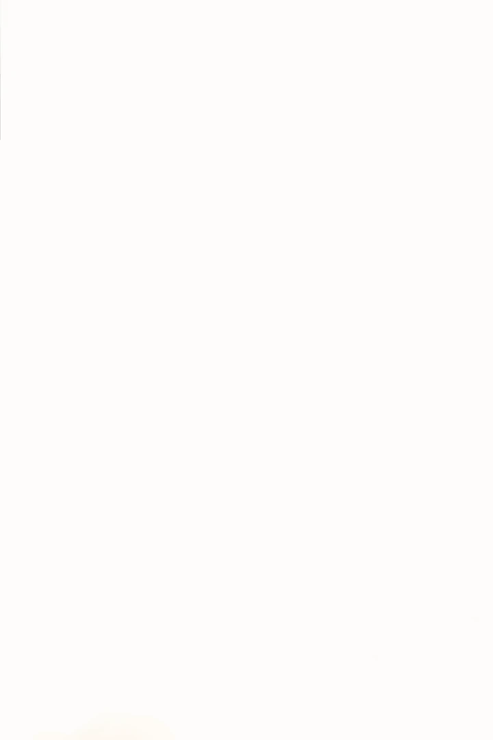 The Baby Dragon and the Rabbit Spirit Chapter 43 - Page 13