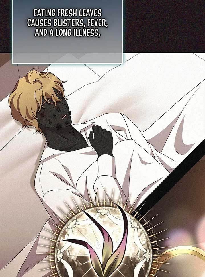 The Back-Alley Mage’s Return Chapter 13 - Page 109