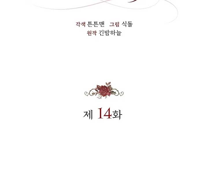 The Back-Alley Mage’s Return Chapter 14 - Page 16