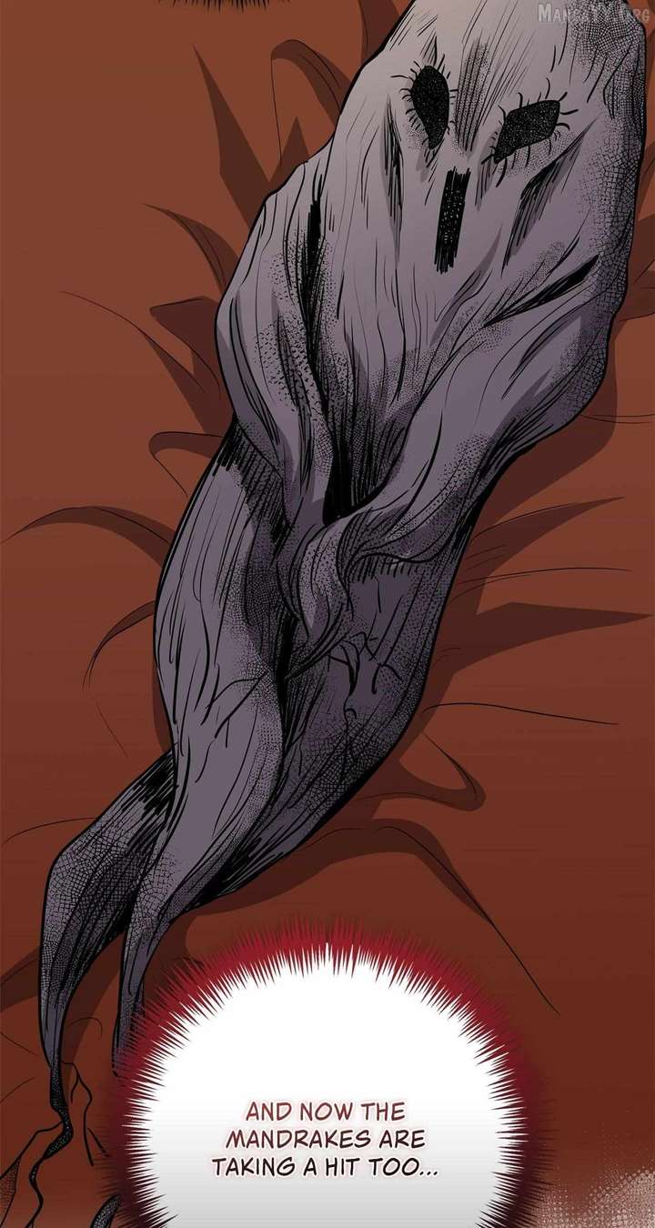 The Beloved Gardener of the World Tree Chapter 24 - Page 9