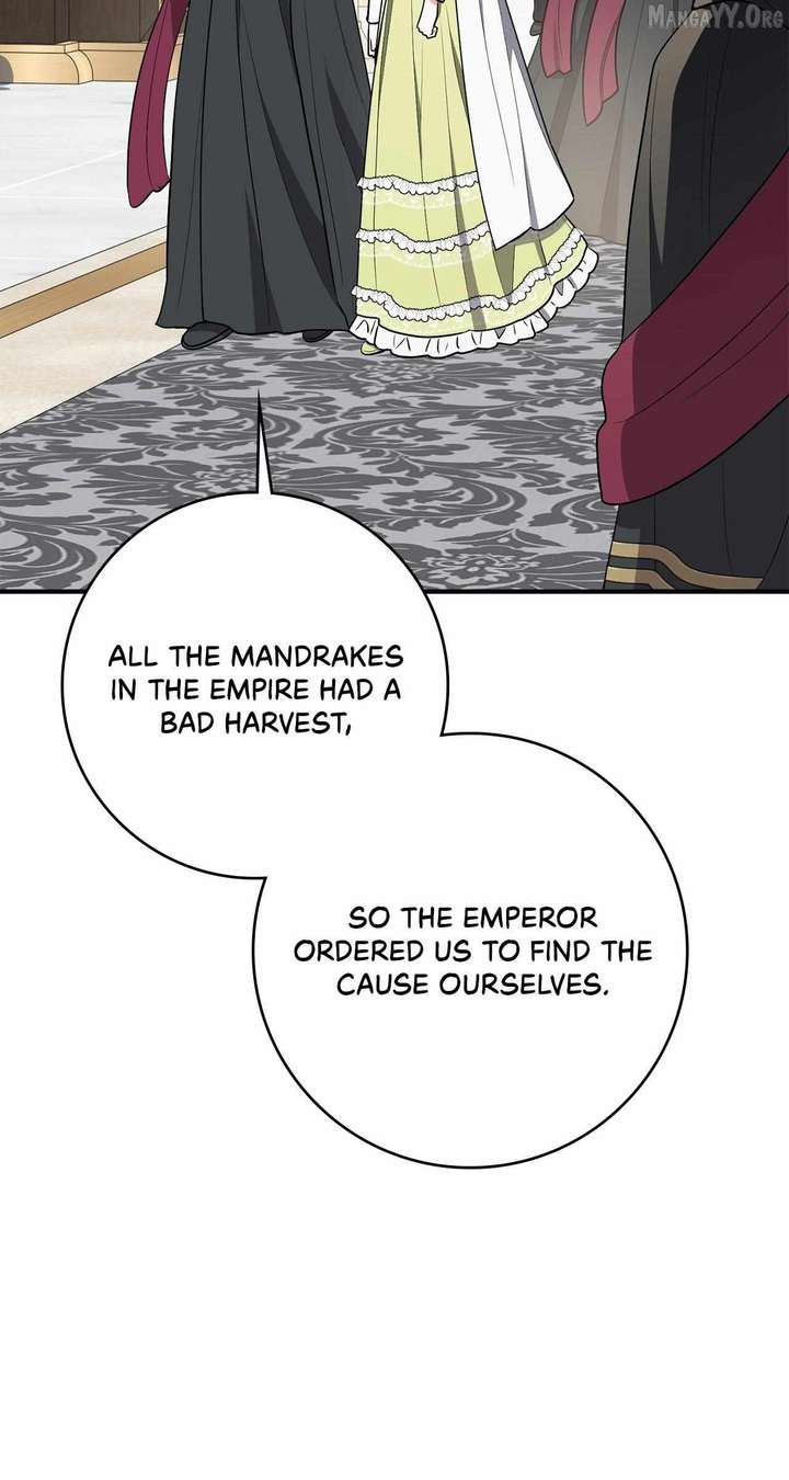 The Beloved Gardener of the World Tree Chapter 24 - Page 61