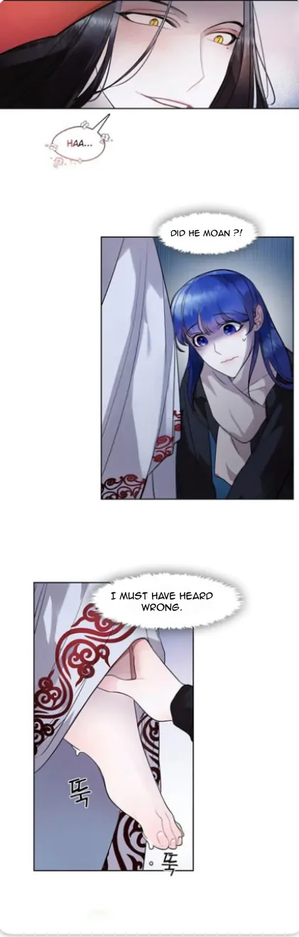 The Bridal Night - Chapter 3 - 12